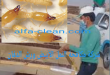 شركة مكافحة النمل الابيض بالدمام