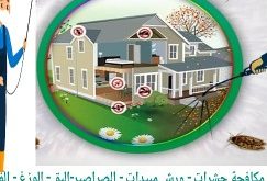 شركة مكافحة النمل الابيض ورش الدفان بالدمام