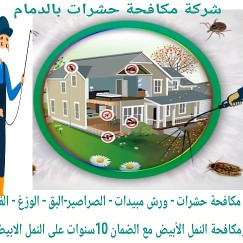 شركة مكافحة النمل الابيض ورش الدفان بالدمام
